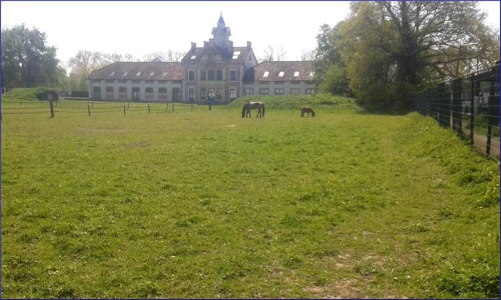 Promenade cheval près de La-Queue-en-Brie