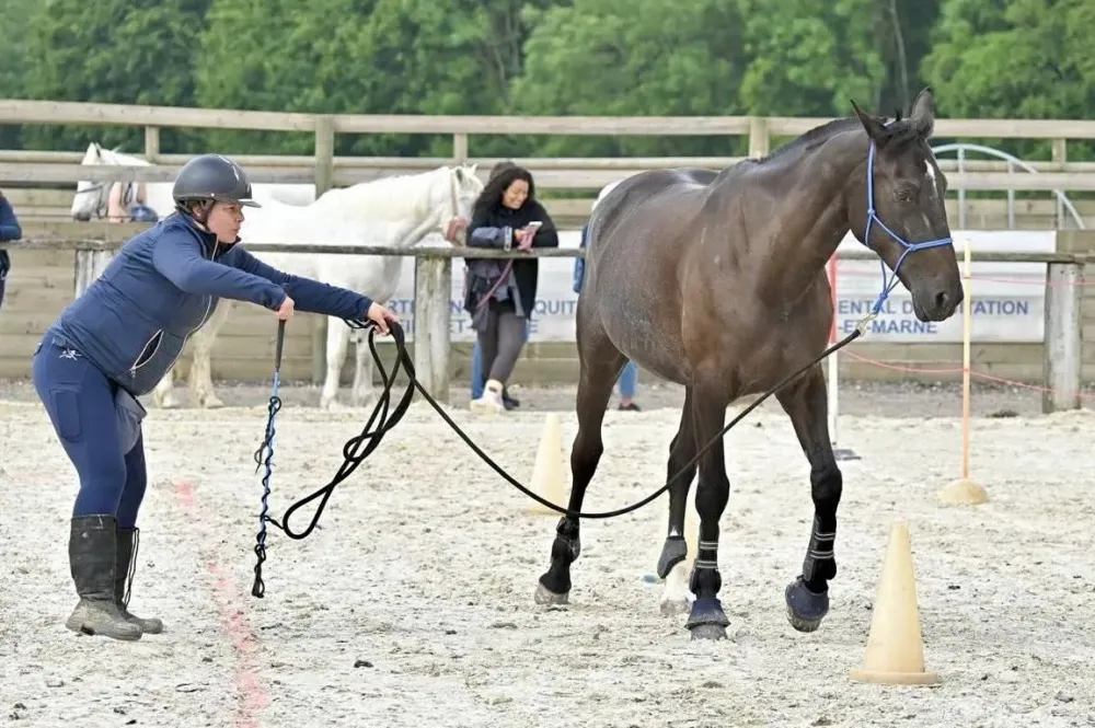 Équitation près de La-Queue-en-Brie