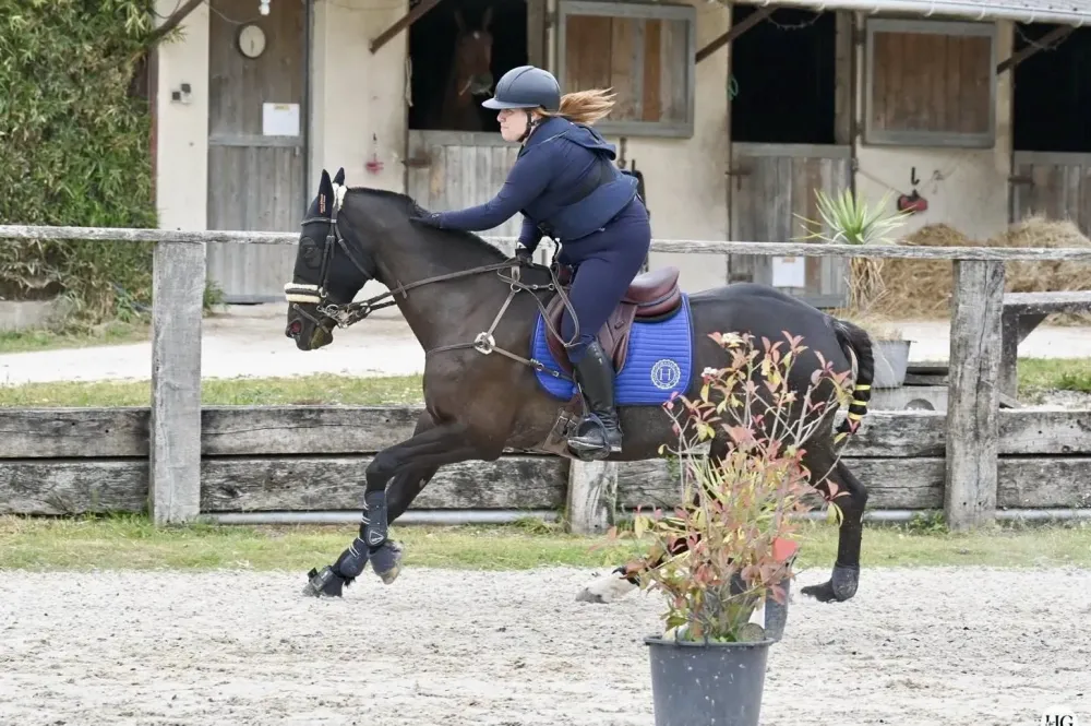 Coaching équitation près de La-Queue-en-Brie