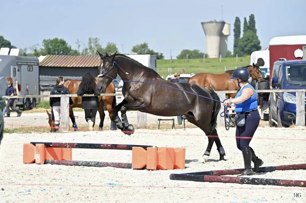 Centre équestre près de La-Queue-en-Brie