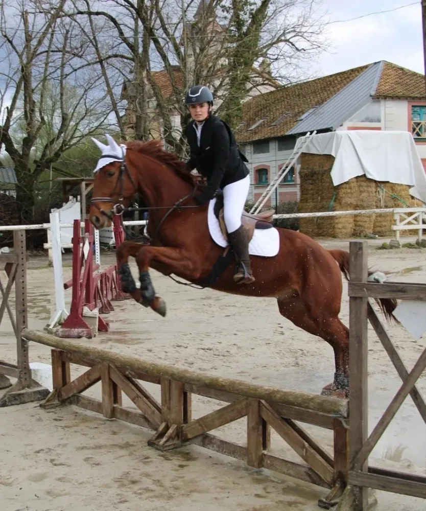 490528886_1252677700197223_8877713109423273063_n